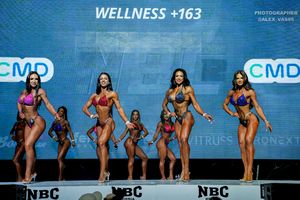 WELLNESS +163